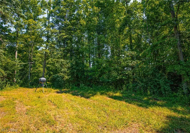 Photo 4 of Land for sale at 27339 Tabor Ridge Rd #1, Caldwell, OH 43724 | MLS# 5245499 | Listing updated on 2026-09-28