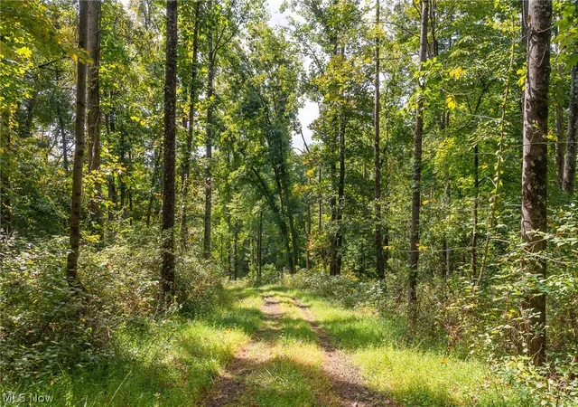 Photo 2 of Land for sale at 27339 Tabor Ridge Rd #2, Caldwell, OH 43724 | MLS# 5245505 | Listing updated on 2026-09-28