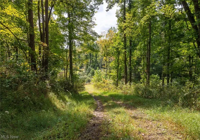 Photo 3 of Land for sale at 27339 Tabor Ridge Rd #2, Caldwell, OH 43724 | MLS# 5245505 | Listing updated on 2026-09-28
