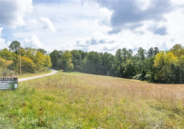 Photo 3 of Land for sale at 27339 Tabor Ridge Rd #4, Caldwell, OH 43724 | MLS# 5245512 | Listing updated on 2026-09-28