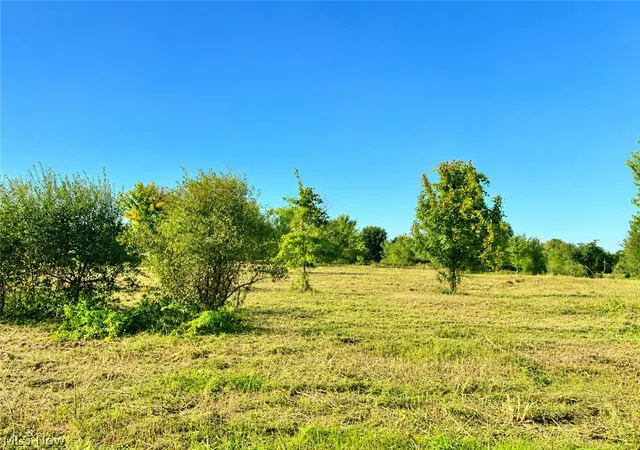 Photo 3 of Land for sale at Lot W #2 Smith Rd, Medina, OH 44256 | MLS# 5248683 | Listing updated on 2026-10-07