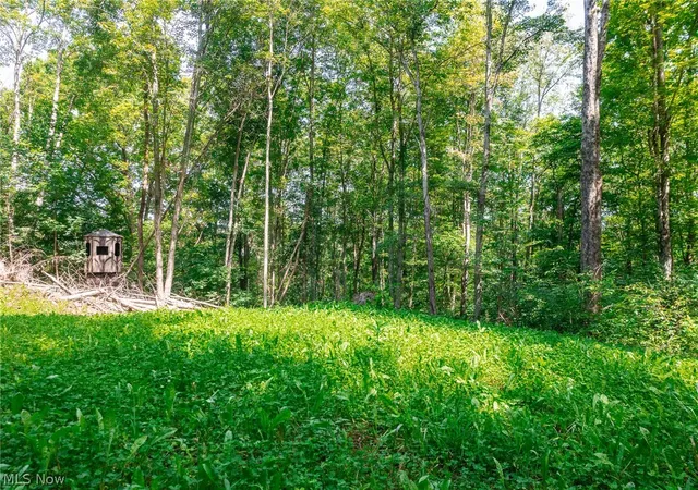 Photo 1 of Land for sale at Richards Rd, Cambridge, OH 43725 | MLS# 5248854 | Listing updated on 2026-09-29