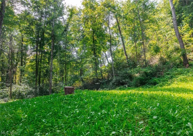 Photo 2 of Land for sale at Richards Rd, Cambridge, OH 43725 | MLS# 5248854 | Listing updated on 2026-09-29