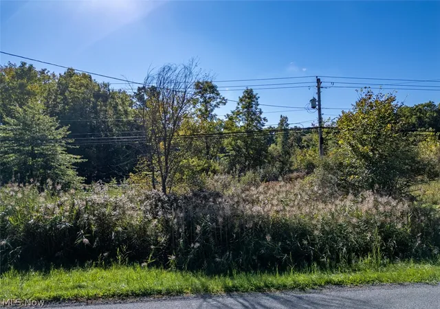 Photo 1 of Land for sale at Newton Fls Rd, Ravenna, OH 44266 | MLS# 5249181 | Listing updated on 2026-09-30
