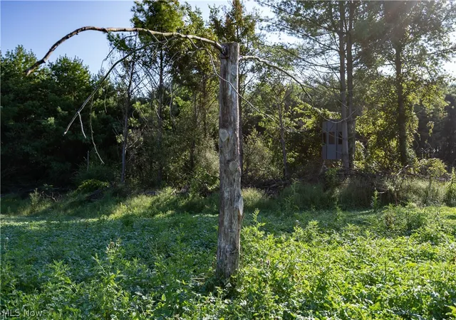 Photo 3 of Land for sale at Perl Rd, New Concord, OH 43762 | MLS# 5250147 | Listing updated on 2026-10-02