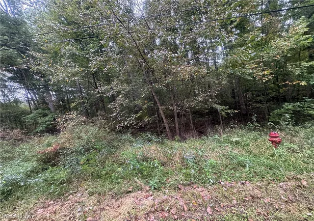 Photo 2 of Land for sale at 48250 Dyke Rd, Negley, OH 44441 | MLS# 5250226 | Listing updated on 2026-10-03