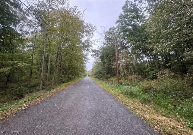 Photo 3 of Land for sale at 48250 Dyke Rd, Negley, OH 44441 | MLS# 5250226 | Listing updated on 2026-10-03