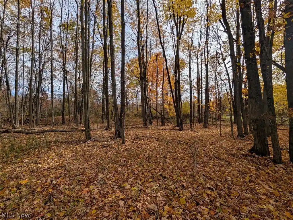 Photo 1 of Land for sale at Mill St, Williamsfield, OH 44093 | MLS# 5250617 | Listing updated on 2026-10-30
