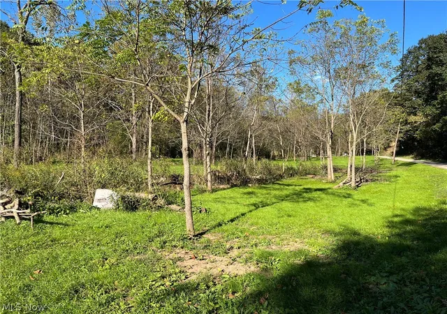 Photo 3 of Land for sale at Dudley Rd, Caldwell, OH 43724 | MLS# 5250588 | Listing updated on 2026-10-09