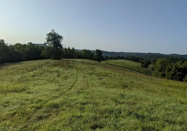 Photo 1 of Land for sale at 00000 St Rt 148 Or (hunter New Castle Rd), Beallsville, OH 43716 | MLS# 5249632 | Listing updated on 2026-10-06