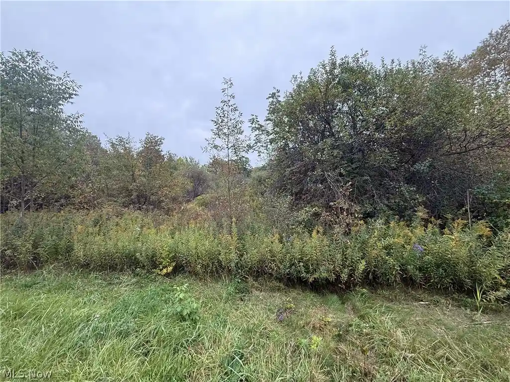 Photo 1 of Land for sale at Clay St, Thompson, OH 44086 | MLS# 5251856 | Listing updated on 2026-10-13