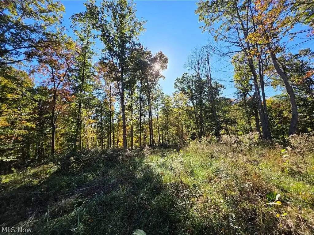 Photo 1 of Land for sale at 0 Emerson Ave, Waverly, WV 26184 | MLS# 5254520 | Listing updated on 2026-10-20