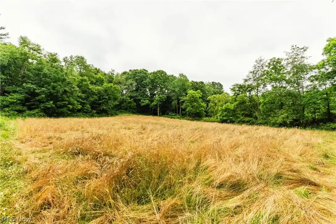Photo 1 of Land for sale at Long Rd, Chandlersville, OH 43727 | MLS# 5254691 | Listing updated on 2026-10-20