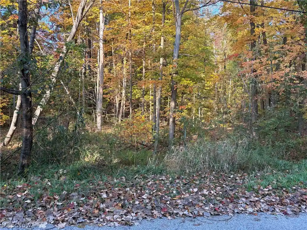 Photo 1 of Land for sale at Vl Glenstone Dr, Willoughby, OH 44094 | MLS# 5255599 | Listing updated on 2026-10-23