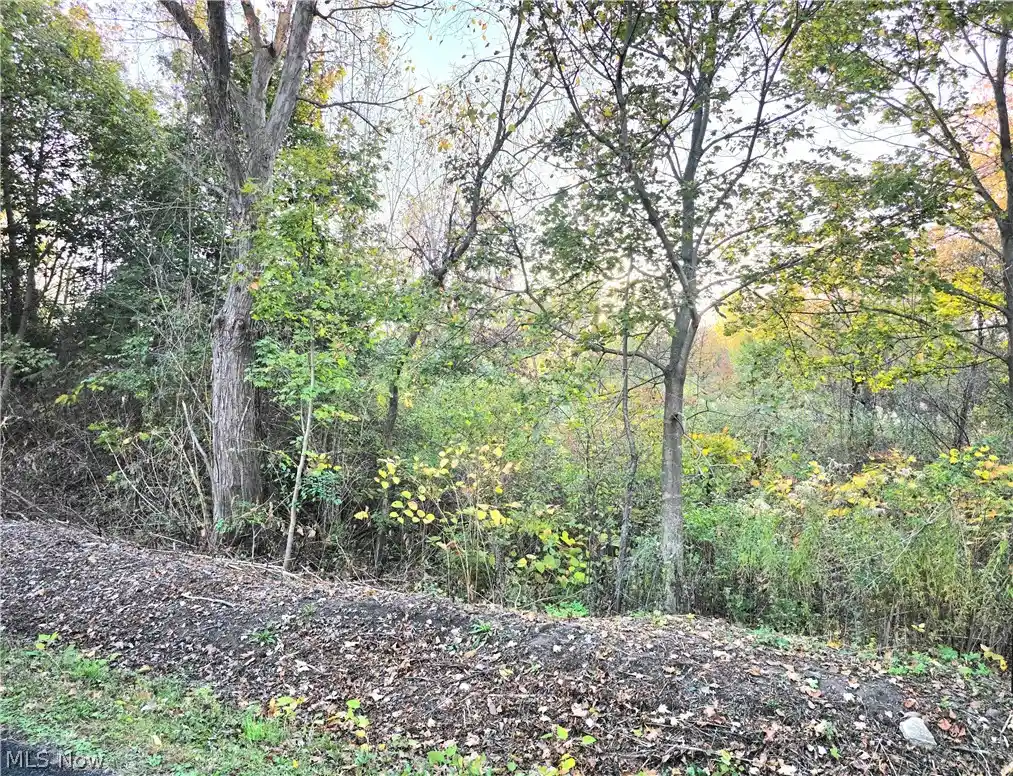 Land for sale at S Bender Ave, Akron, OH 44319 | MLS# 5255491
