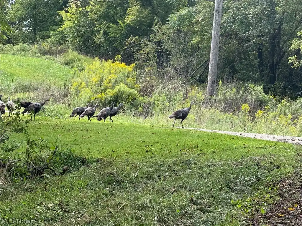 Photo 1 of Land for sale at 219 Peachtree Ln, Wellsburg, WV 26070 | MLS# 5255757 | Listing updated on 2026-10-24