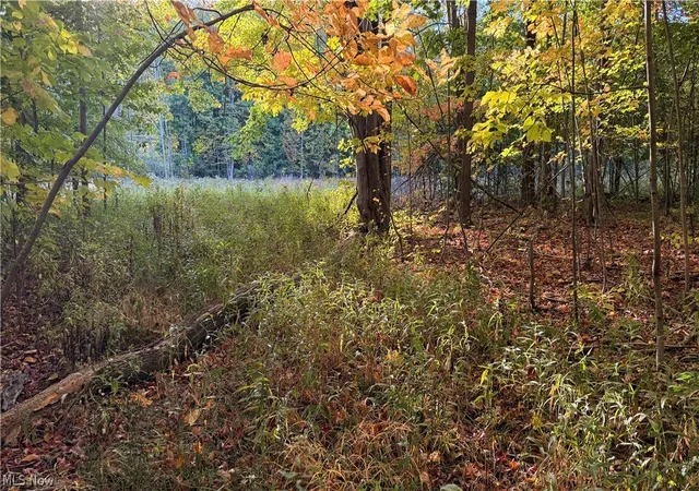 Photo 1 of Land for sale at Munson Hl Rd, Ashtabula, OH 44004 | MLS# 5255636 | Listing updated on 2026-10-30