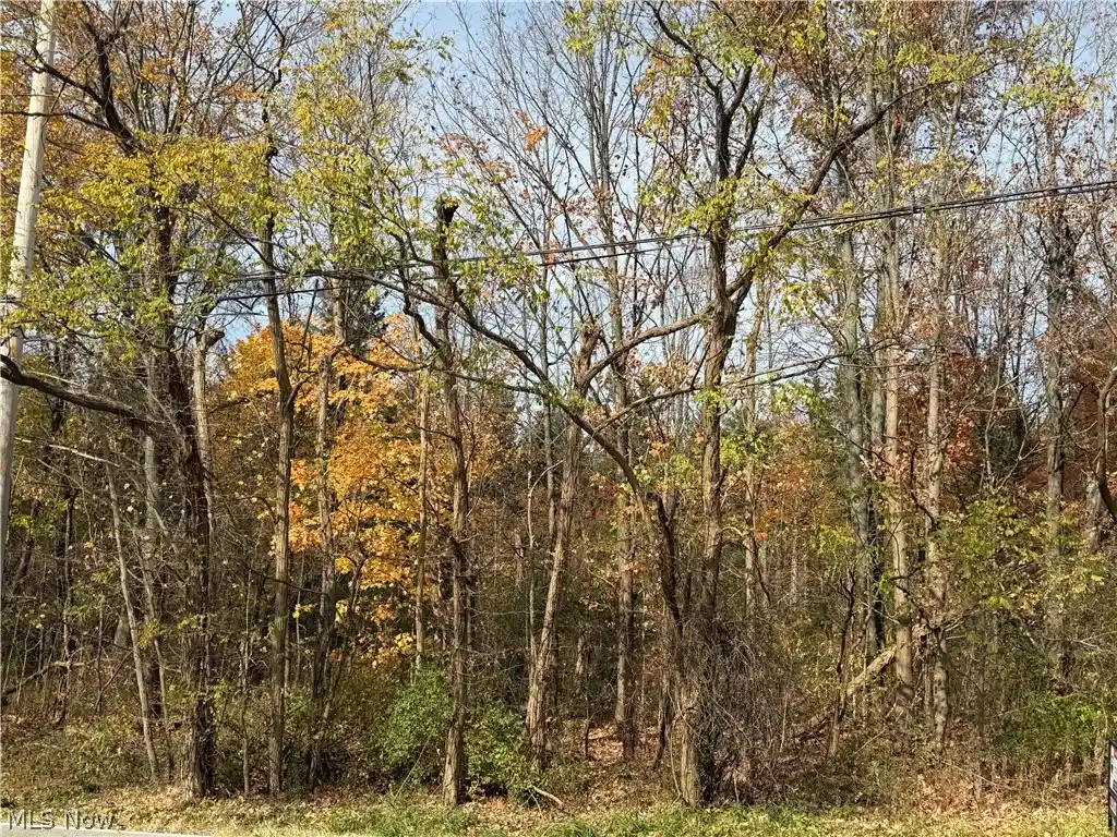 Photo 1 of Land for sale at Butternut Rd, Burton, OH 44021 | MLS# 5256473 | Listing updated on 2026-10-29