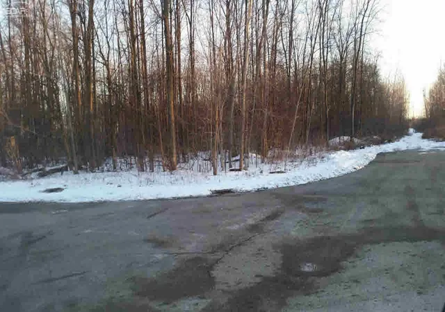 Homes for sale in Flushing, MI | 0 Stonebrook Ln, Flushing, MI 48433 | MLS# 5050001583