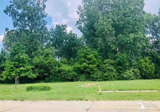 Photo 2 of Land for sale at 16277 Harrison St, Romulus, MI 48174 | MLS# 57050044768 | Listing updated on 2026-03-05