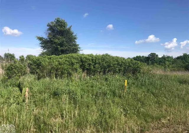 Photo 2 of Land for sale at Wadhams Rd, Saint Clair, MI 48079 | MLS# 58050043992 | Listing updated on 2026-07-13