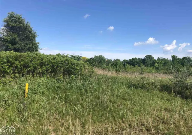 Photo 3 of Land for sale at Wadhams Rd, Saint Clair, MI 48079 | MLS# 58050043992 | Listing updated on 2026-07-13