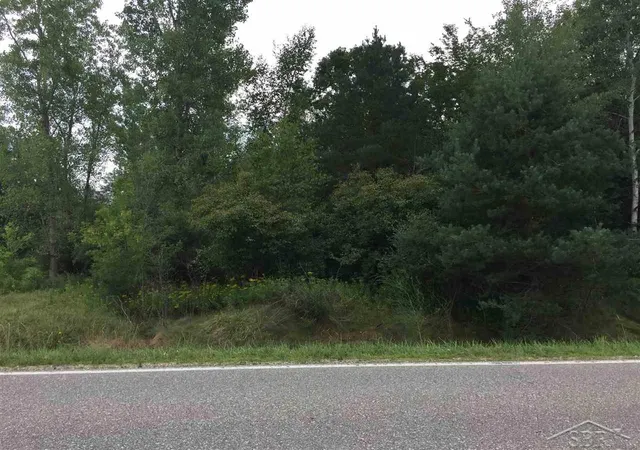 1st image of 1166 E Freeland Rd, Merrill, MI 48637 | MLS# 61031358042