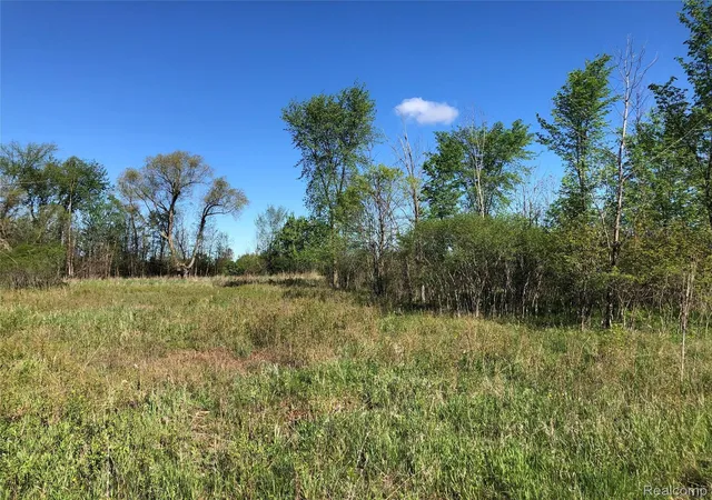 Photo 1 of Land for sale at Parcel D Graham Rd, Imlay City, MI 48444 | MLS# 2220036866 | Listing updated on 2026-06-22