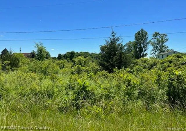 Photo 1 of Land for sale at 0 E Wilson Rd, Thetford Township Genesee, MI 48420 | MLS# 20221009599 | Listing updated on 2026-08-04
