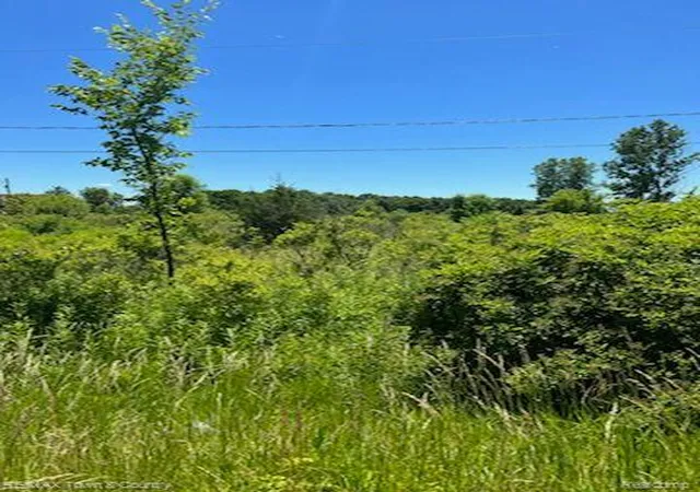 Photo 2 of Land for sale at 0 E Wilson Rd, Thetford Township Genesee, MI 48420 | MLS# 20221009599 | Listing updated on 2026-08-04