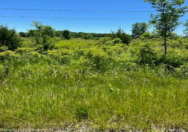 Photo 3 of Land for sale at 0 E Wilson Rd, Thetford Township Genesee, MI 48420 | MLS# 20221009599 | Listing updated on 2026-08-04