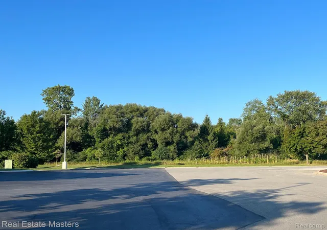 Photo 4 of Land for sale at 0000 Willow Ln, Fort Gratiot Charter Township St Clair, MI 48059 | MLS# 20221021820 | Listing updated on 2026-07-13