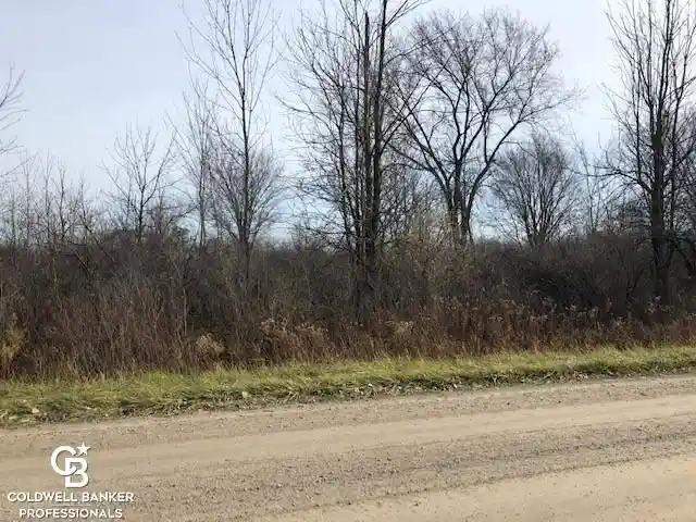 Photo 1 of Land for sale at 00 Cowhy Rd Parcel "b", Riley Township St Clair, MI 48041 | MLS# 58050085122 | Listing updated on 2026-09-30
