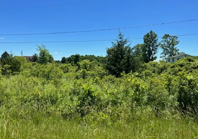 Photo 1 of Land for sale at 0 E Wilson Rd, Clio, MI 48420 | MLS# 5050086153 | Listing updated on 2026-08-04