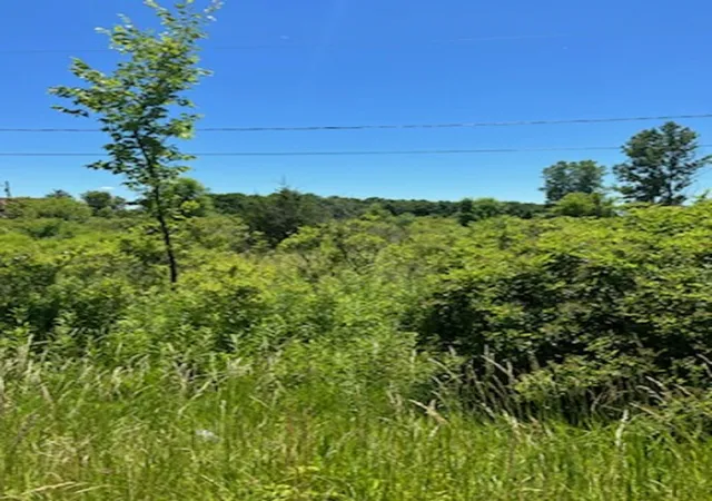 Photo 2 of Land for sale at 0 E Wilson Rd, Clio, MI 48420 | MLS# 5050086153 | Listing updated on 2026-08-04