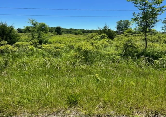 Photo 3 of Land for sale at 0 E Wilson Rd, Clio, MI 48420 | MLS# 5050086153 | Listing updated on 2026-08-04