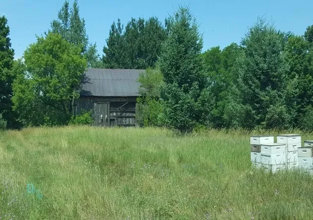 Photo 2 of Land for sale at Parcel B Cemetery Rd, Helena Township Antrim, MI 49612 | MLS# 78001306200 | Listing updated on 2026-06-03