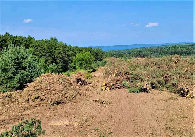 Photo 3 of Land for sale at Parcel B Cemetery Rd, Helena Township Antrim, MI 49612 | MLS# 78001306200 | Listing updated on 2026-06-03