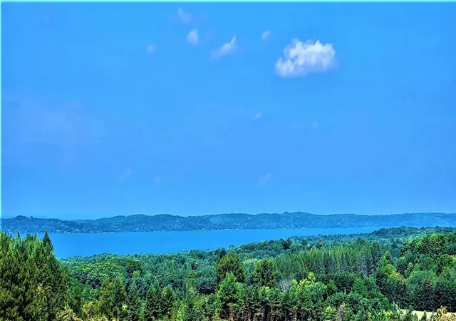 Land for sale at Parcel C Cemetery Rd, East Jordan, MI 49727 | MLS# 78001306210