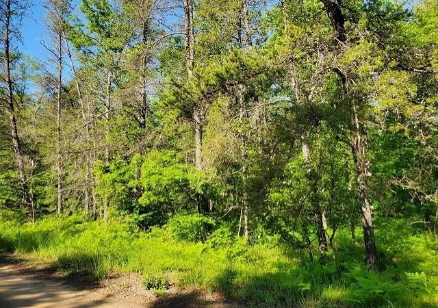 Photo 1 of Land for sale at 0 Quigley Rd, Alger, MI 48610 | MLS# 77001308492 | Listing updated on 2026-05-11