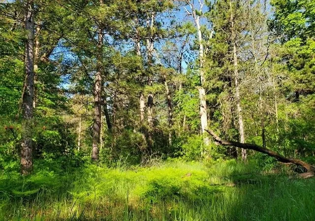 Photo 3 of Land for sale at 0 Quigley Rd, Alger, MI 48610 | MLS# 77001308492 | Listing updated on 2026-05-11