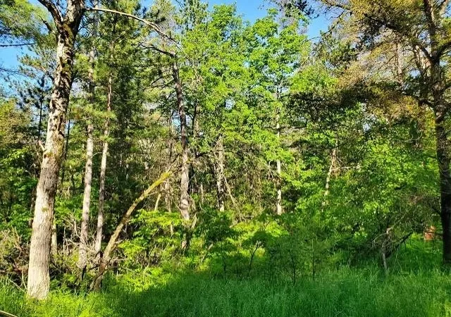 Photo 4 of Land for sale at 0 Quigley Rd, Alger, MI 48610 | MLS# 77001308492 | Listing updated on 2026-05-11