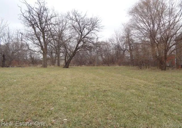 Photo 1 of Land for sale at 3330 14th St, Detroit, MI 48208 | MLS# 20221069660 | Listing updated on 2026-07-06