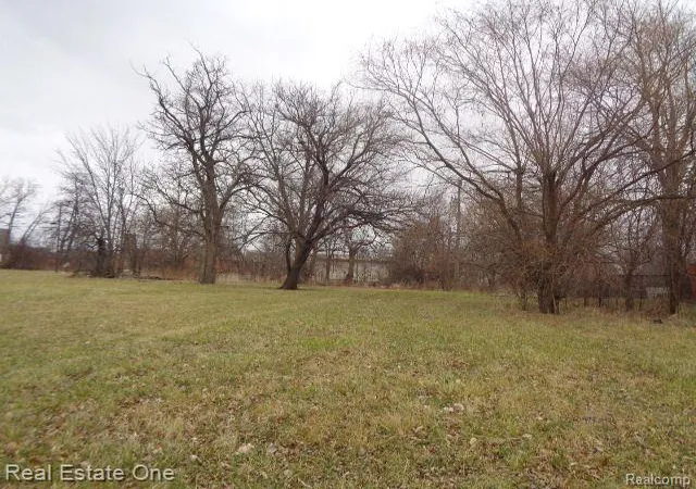 Photo 2 of Land for sale at 3330 14th St, Detroit, MI 48208 | MLS# 20221069660 | Listing updated on 2026-07-06