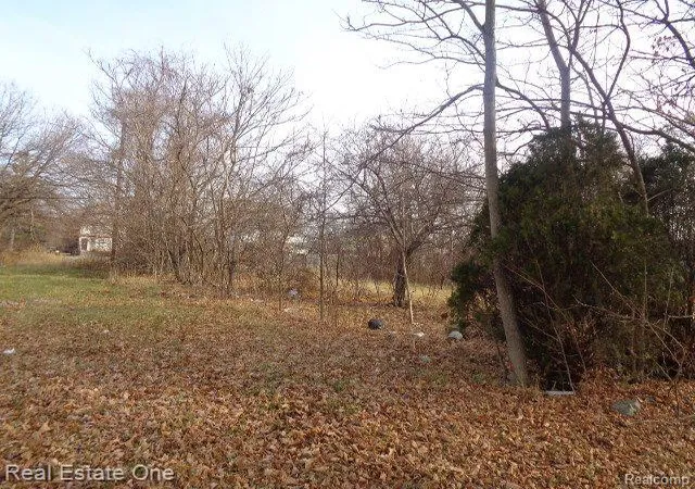 Photo 2 of Land for sale at 3806 Belvidere St, Detroit, MI 48214 | MLS# 20221069872 | Listing updated on 2026-01-21