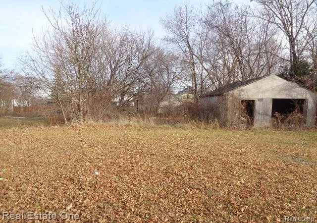 Photo 4 of Land for sale at 3806 Belvidere St, Detroit, MI 48214 | MLS# 20221069872 | Listing updated on 2026-01-21