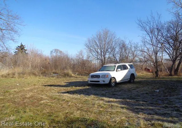 image of 18088 Pelkey St, Detroit, MI 48205 | MLS# 20221069880