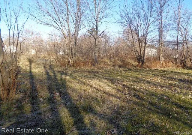 image of 18088 Pelkey St, Detroit, MI 48205 | MLS# 20221069880