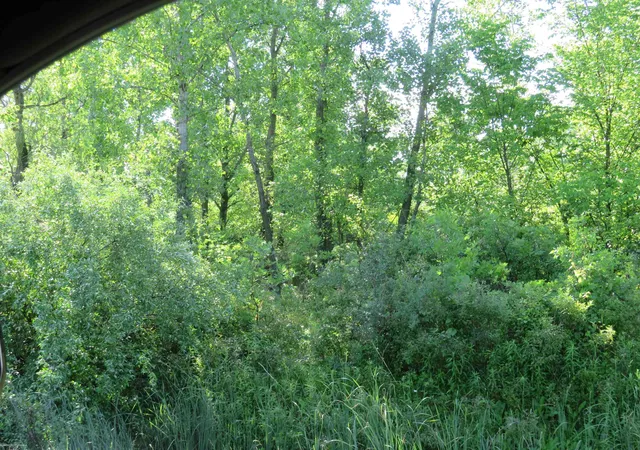 Photo 2 of Land for sale at 62800 Gratiot Rd, Lenox, MI 48048 | MLS# 58050098625 | Listing updated on 2026-09-02