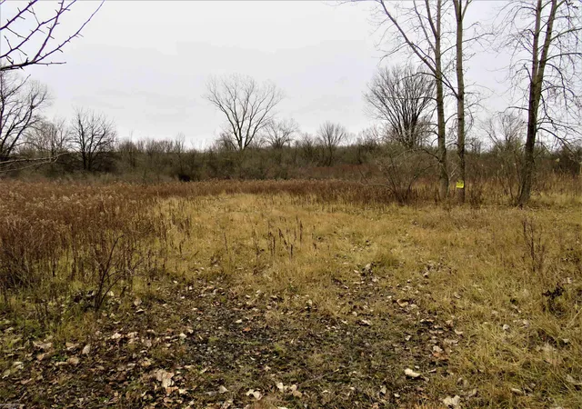 Photo 4 of Land for sale at 62800 Gratiot Rd, Lenox, MI 48048 | MLS# 58050098625 | Listing updated on 2026-09-02